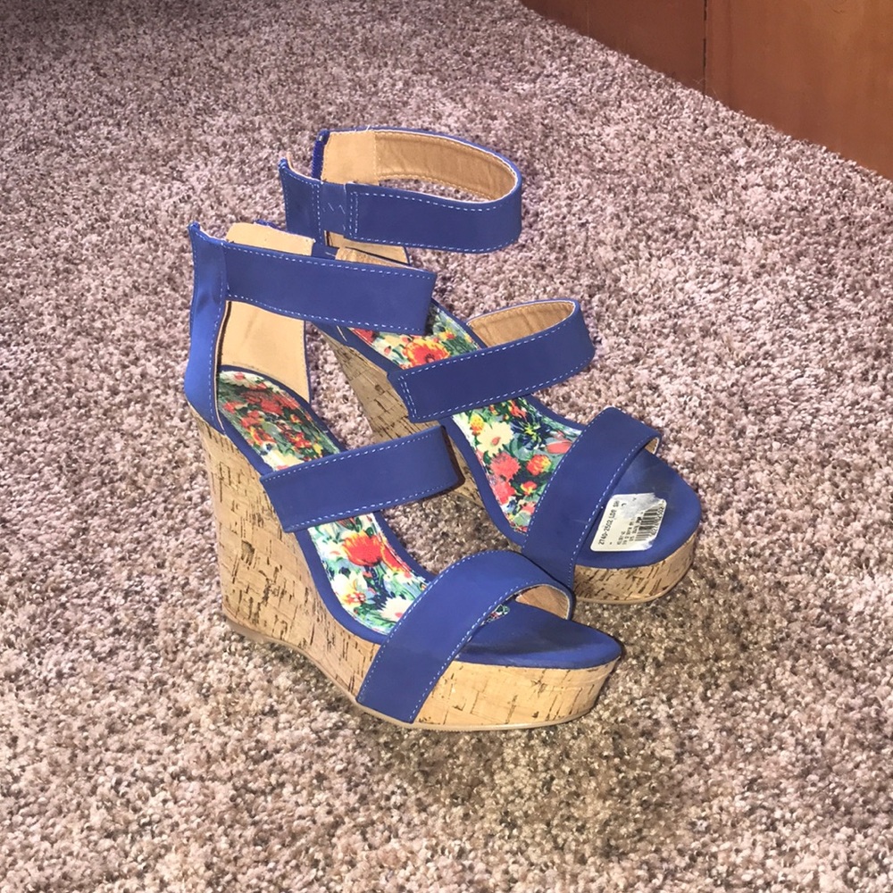 Blue Wedges